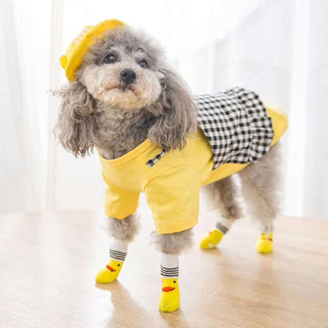 Custom pet dog socks featuring a personalized photo and name of your furry friend. Perfect gift for pet lovers. Order now!